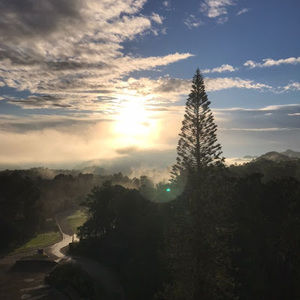 Meet your Posher, Celia